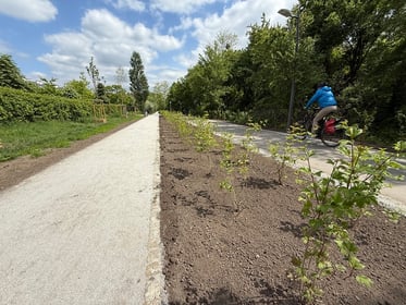 Budowa ciągu pieszego na odcinku Promenady Krzyckiej Borowska-Bardzka